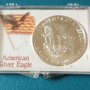 1994 American Silver Eagle Coin .999 Silver Uncertified Walking Lady Liberty
